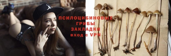 эйфоретик Алексеевка
